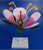 Model of Flower Detachable