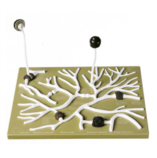 Model of Mushroom