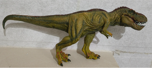 Model of Carnivorous Dinosaur