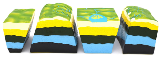 A MODEL OF BREAKS AND FISSURES