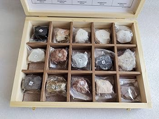 A GROUP OF SEDIMENTARY ROCKS