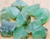 GREEN CALCITE ROCK