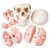 Skull With 8 Part Brain Model