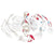 Disarticulated Skeleton Bilateral With Painted Muscles Model