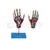 Hand with Main Vessels & Nerves Model