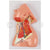 Human Neck with Muscles, Nerves, and Blood Vessels Model