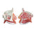 Anatomical Nasal Cavity Model