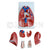 Larynx, Heart and Lungs Model