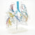 Transparent Lung Segment Model