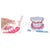 Dental Care Model