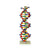 DNA Structure Model, Plastic Assembly Kit