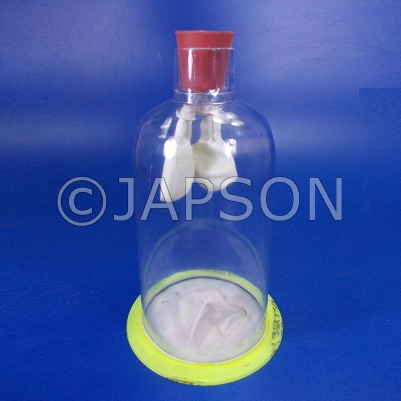 Human Lung Model in Bell Jar