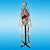 Human Skeleton with Internal Organs & Muscles