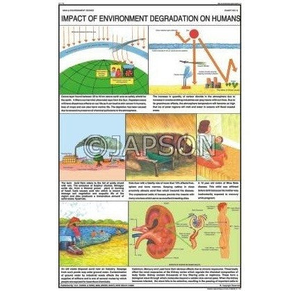 Man & Environment Charts, School Education