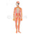 Model, Human Nervous System