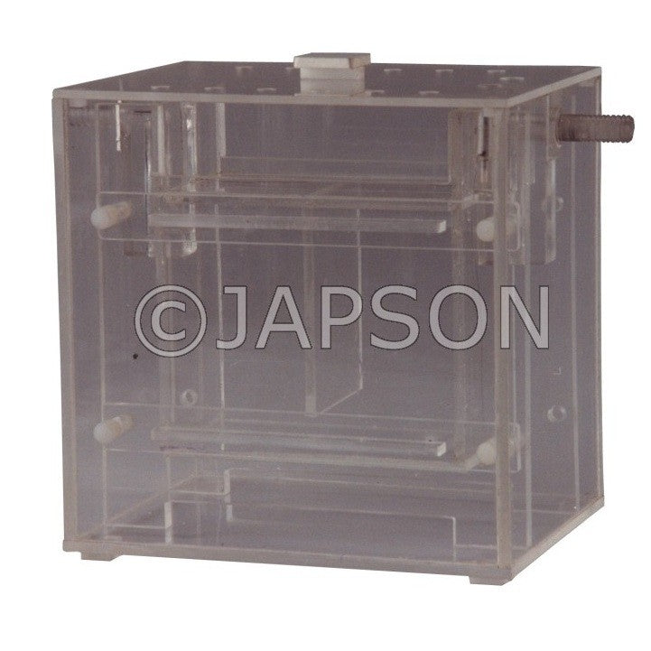 Polyacrlamide Vertical Slab Gel, Dual Universal Mechanism