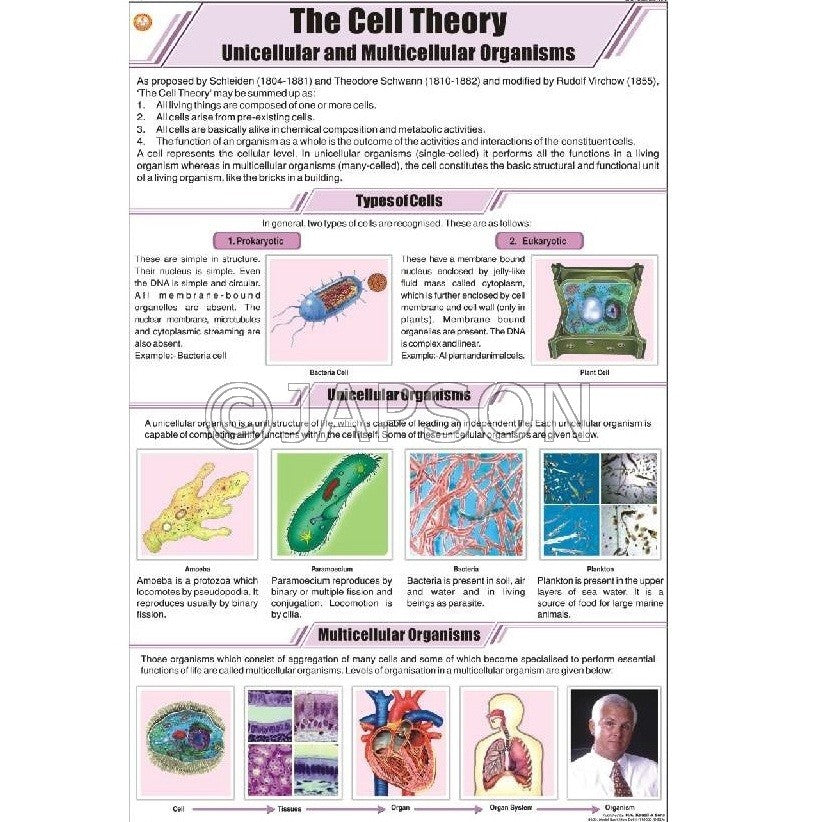 General Science (I) Charts, School Education