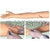 Suture Arm Advanced, Surgical