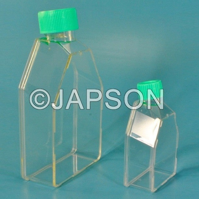 Tissue Culture Flask